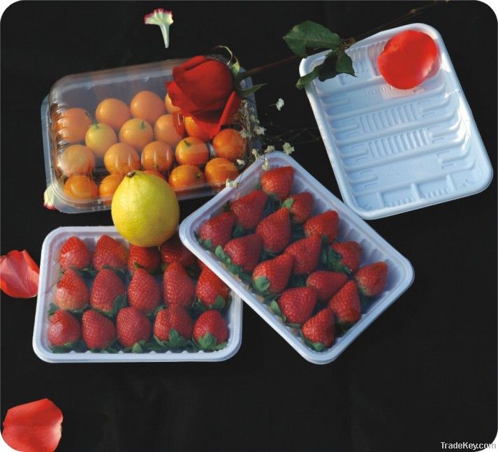 plastic fruit box&tray packing