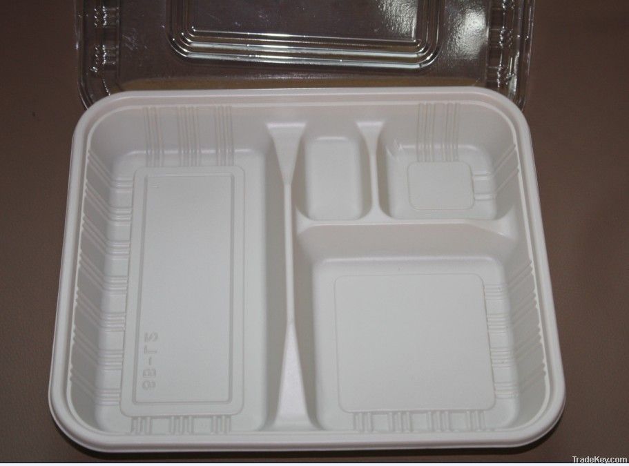 plastic disposable food container
