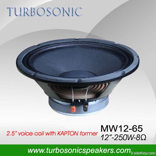 12" woofer High power loudspeaker Stage Speaker/ PA System/Audio