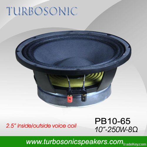 Low price 10" woofer pa speaker for Outdoor/stage/ pa sysytem