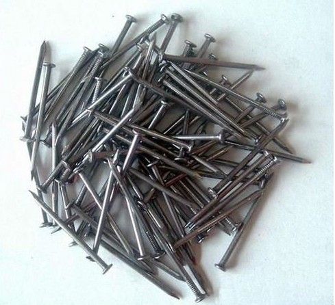 Polished Common nails factory