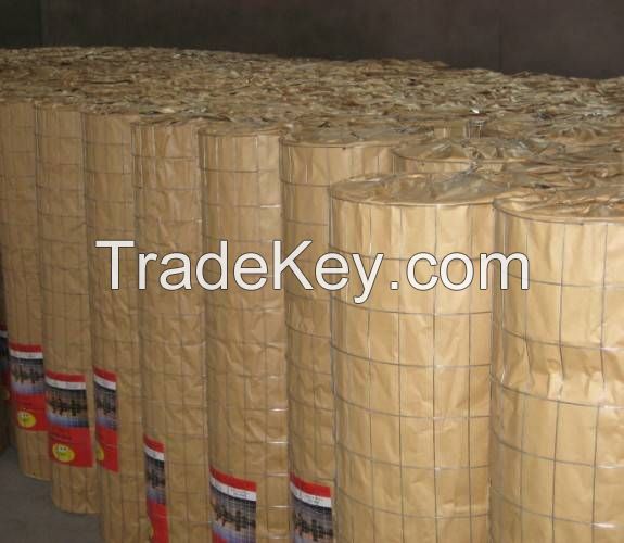 Galvanzied Roofing Wire Mesh