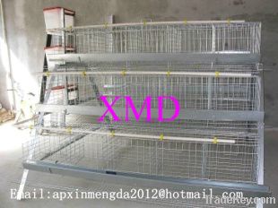 A and H type poultry Chicken cage