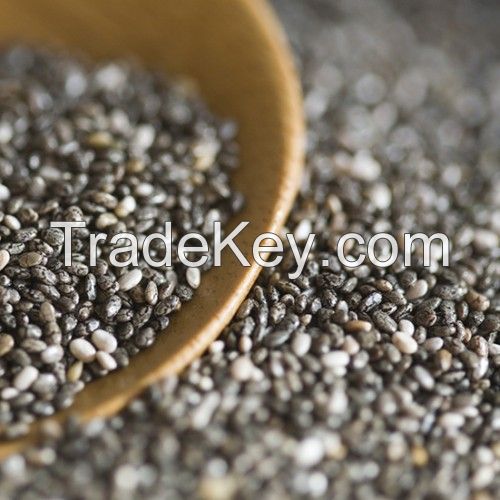 Chia Seed 99.95