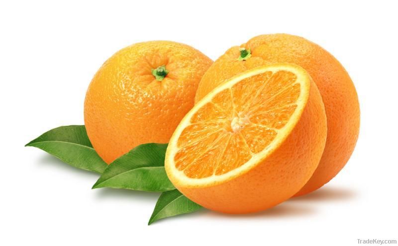 Fresh Oranges