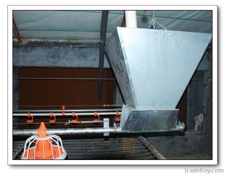 Poultry Automatic Feeding System for Poultry Farm Equipment