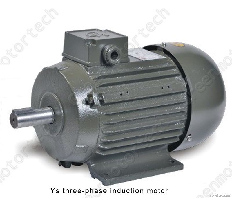 YS Series Three-Phase Induction Motor