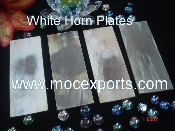 Buffalo Ox White Horn Plates