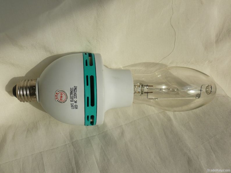 Integrated MH lamp