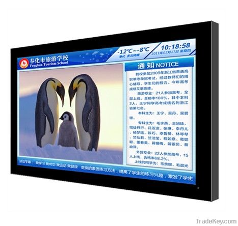 65 Inch LCD Advertising Player