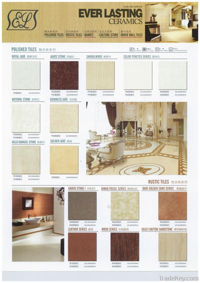 Ceramics / Tile on high-quality