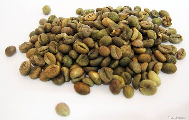 VIETNAMESE ROBUSTA GREEN COFFEE