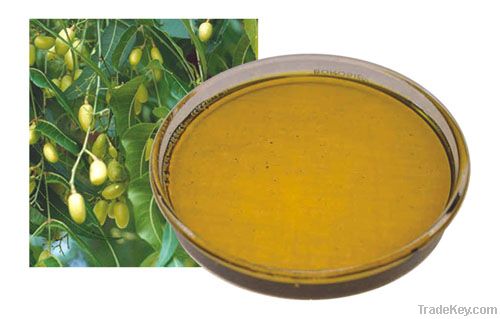 Neem Oil