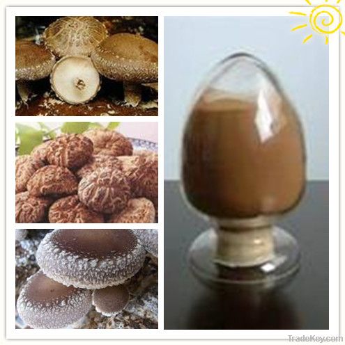 High quality and competitive priced Shiitake Mushroom Extract