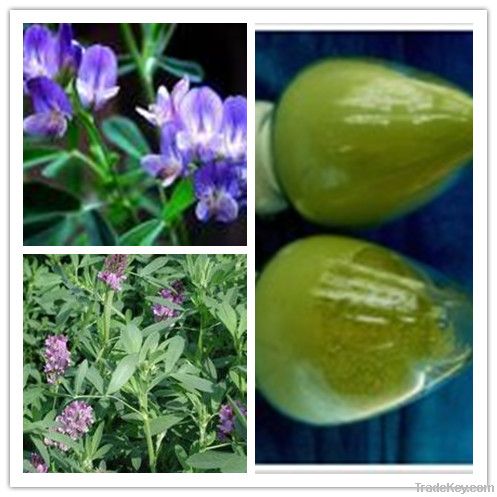 Top Pure Natural Alfalfa Extract Total Flavonoids
