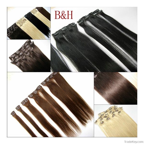Remy Brazilian Hair Clip in Hair Extension