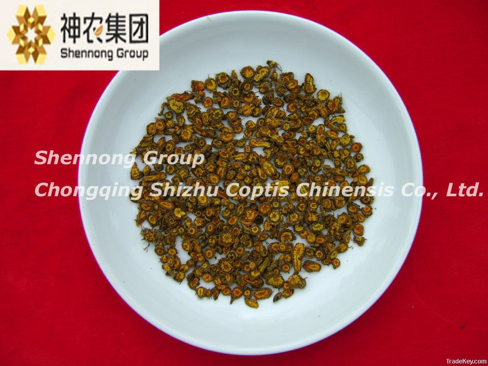 Coptis chinensis Franch goldthread from Chinese largest manufacturer