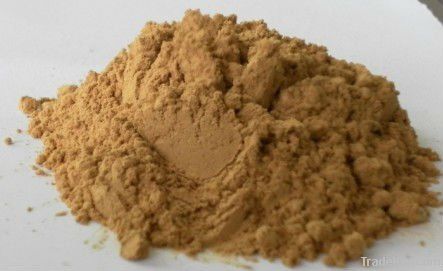 Plant Extract Bayberry Bark Extract 10-80% Myricetin powder