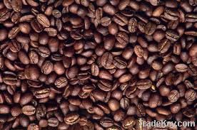 Export Coffee Beans | Coffee Bean Importer | Coffee Beans Buyer | Buy Coffee Beans | Coffee Bean Wholesaler | Coffee Bean Manufacturer | Best Coffee Bean Exporter | Low Price Coffee Beans | Best Quality Coffee Bean | Coffee Bean Supplier | Sell Coffee Bea