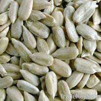 New Crop Sunflower Seeds Suppliers | Sunflower Seed Exporters, | Sunflower Black Seed  | Striped Black Seed | Flowers Seed | Sunflower Kernels