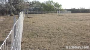 Field fence