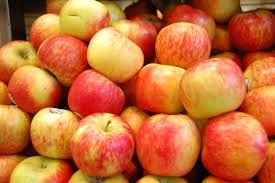 we offer the best fresh fuji apples 