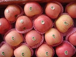 we offer the best fresh fuji apples
