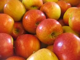 we offer the best fresh fuji apples