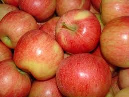 we offer the best fresh fuji apples