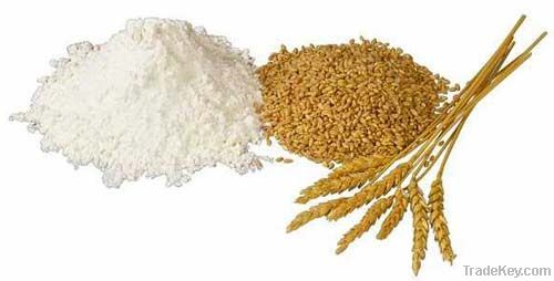 Wheat flour