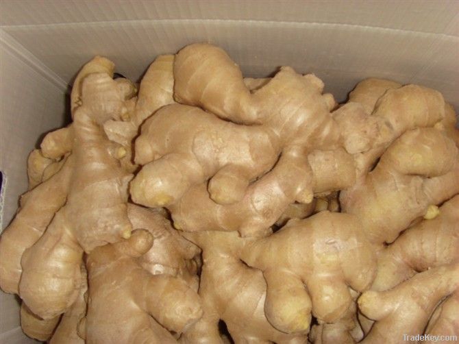 Yellow dired ginger