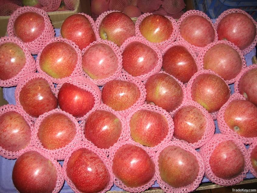 unbagged qinguan apple