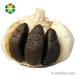 Organic Black garlic bulb