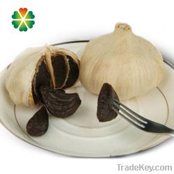 aged single clove black garlic