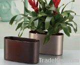 mini oval flower pot with indicator