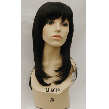 Aiwens High quality lace wig