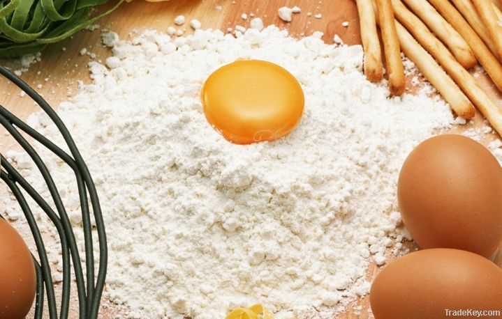  Яичный порошок белого цвета импортеры, яиц покупатели белый порошок, сухой яичный белок импортером, Egg powder