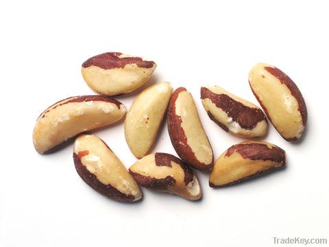 Brazil Nuts