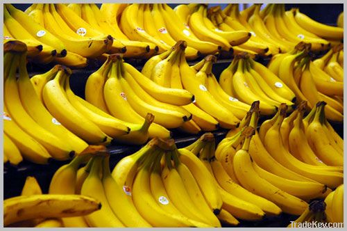 Fresh Bananas