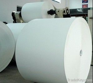 Jumbo tissue roll