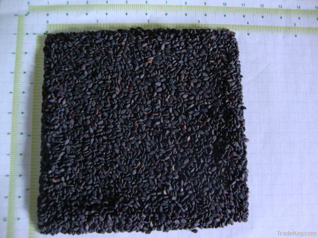 Black Sesame Seed