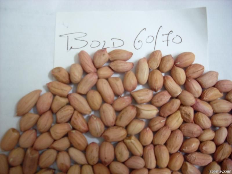 Bold Peanut
