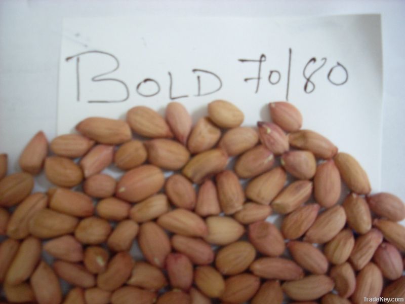 Bold Peanut