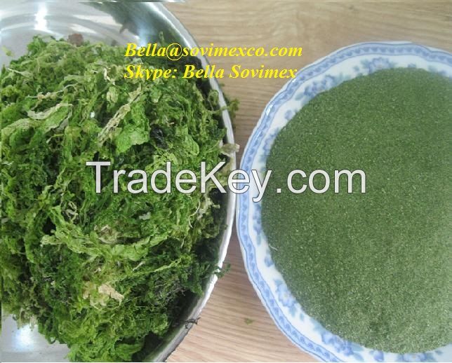 Dried Ulva Lactuca fertilizer