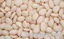 Large & Baby Lima Beans