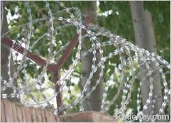 Razor Wire Mesh