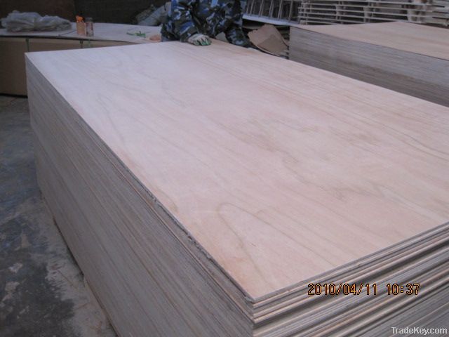rogge commercial plywood