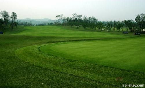 Artificial grass for golf mat, easy maintenance