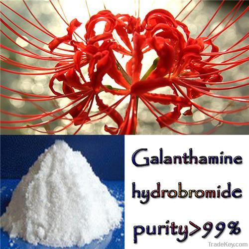 Galanthamine HBr Hydrobromide - Lycoris Radiate ExtractImmune enhancin