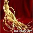 American Ginseng Root Extract Ginsenosides